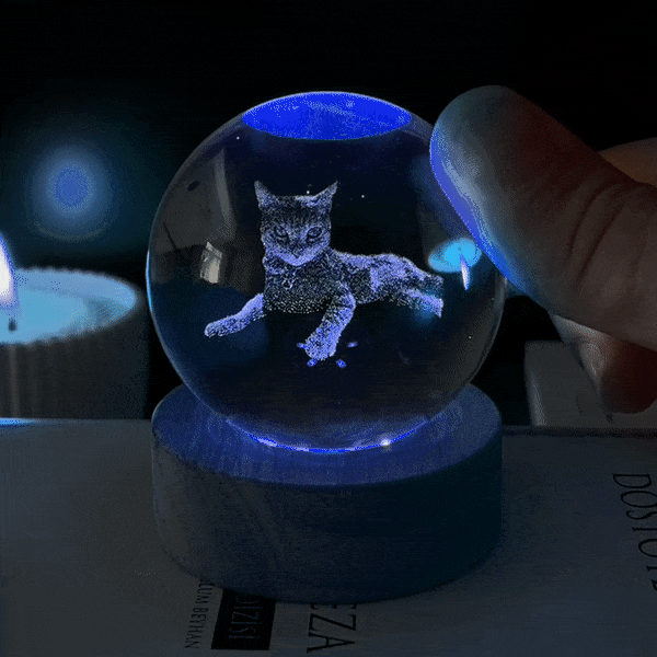 Personalized Pet Picture Crystal Ball Night Light Pet Memorial Gift for Pet Lovers