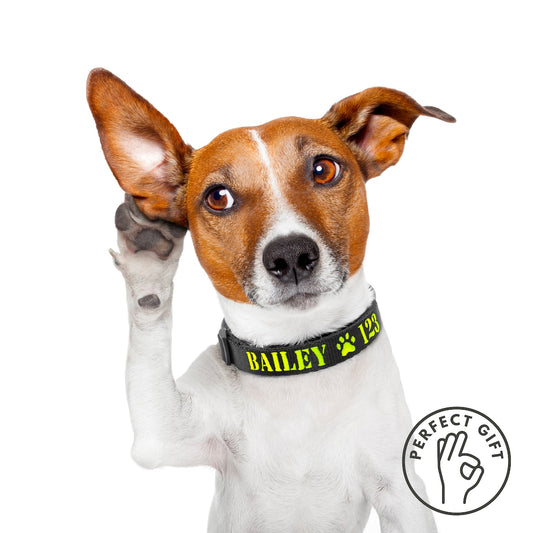 Cuchara para comida con huella de pata de perro personalizada y nombre, regalo para amantes de los perros