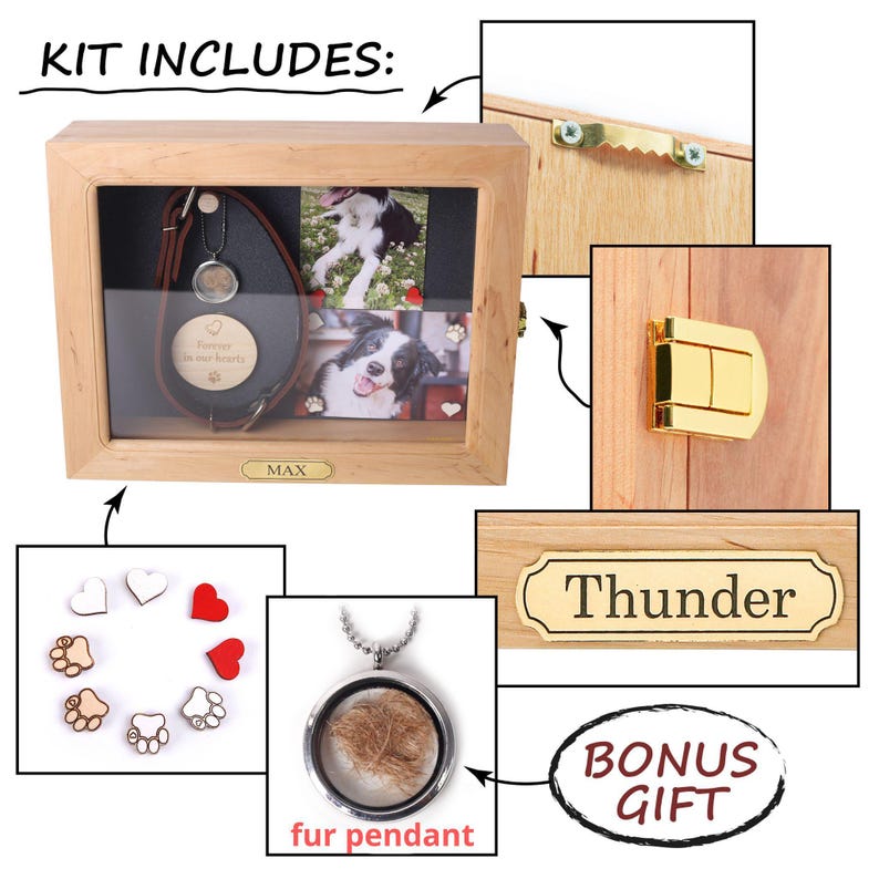 Custom Memorial Shadow Box for Pets Dog Collar Memory Frame with Personalized Plaque Pet Owner Gift with Magnetic Clips