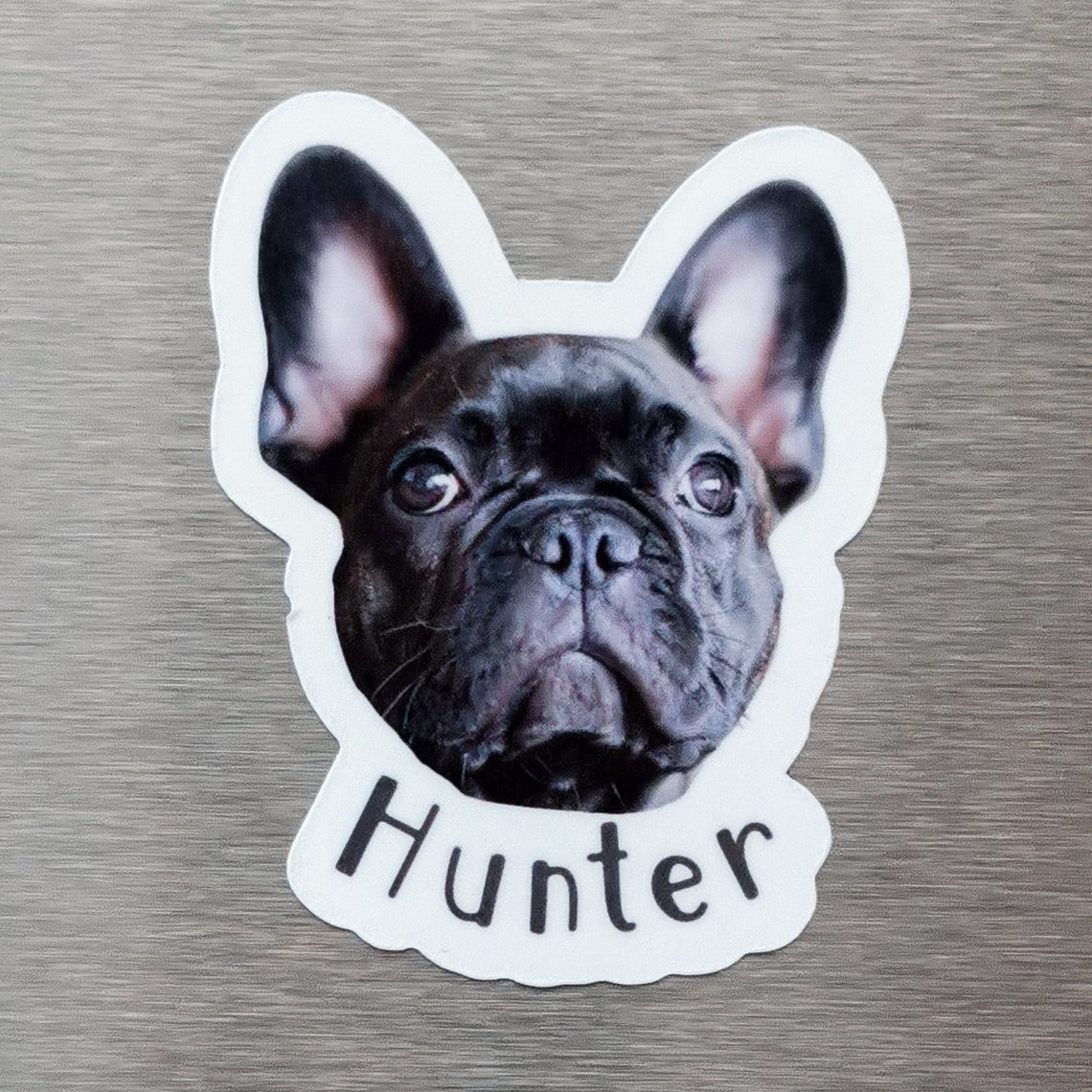 Personalized Pet Photo Fridge Magnet | Custom Dog & Cat Portrait Gift for Home Decor