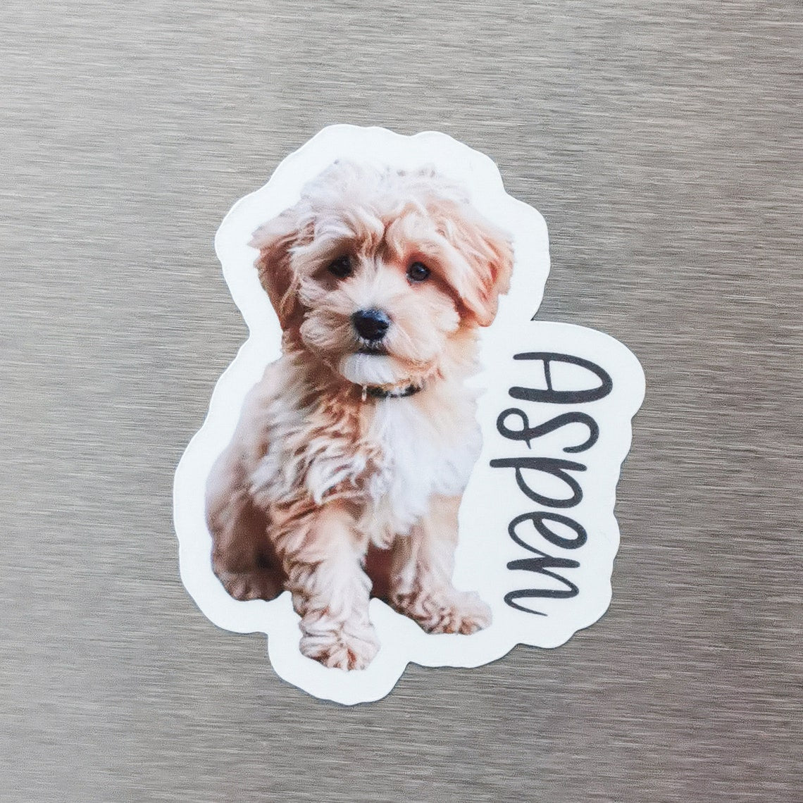 Personalized Pet Photo Fridge Magnet | Custom Dog & Cat Portrait Gift for Home Decor