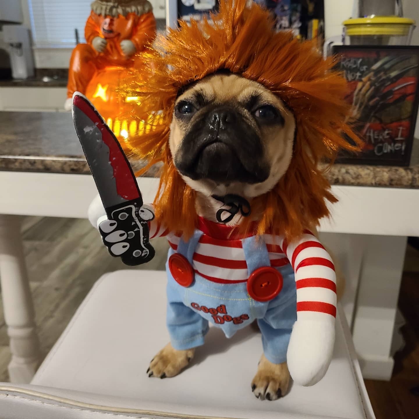 Deadly Doll Halloween Pet Costume For Dog Cat