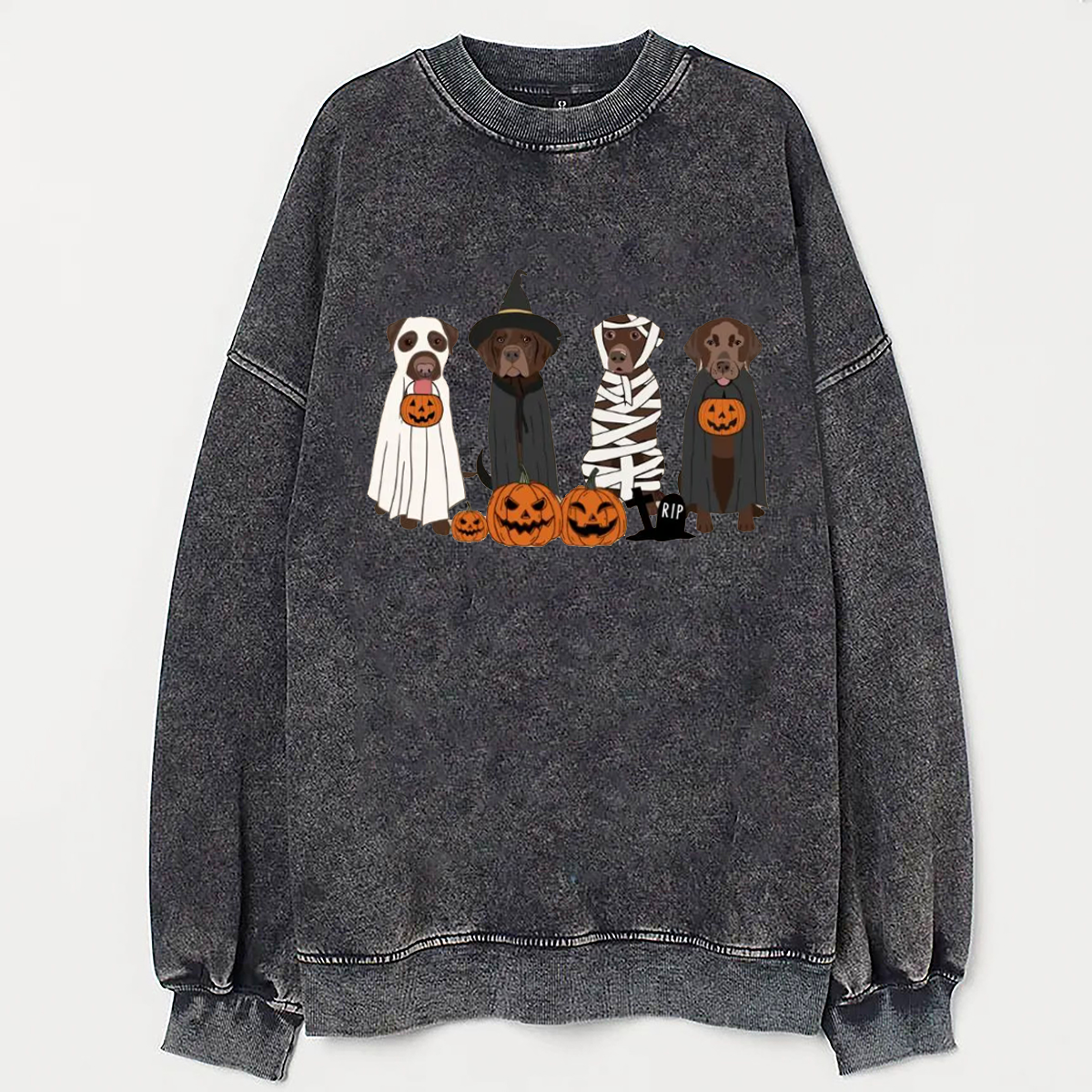 Cara de mascota bordada personalizada y nombre de mascota sudadera retrato de perro bordado cuello redondo regalo amante de las mascotas