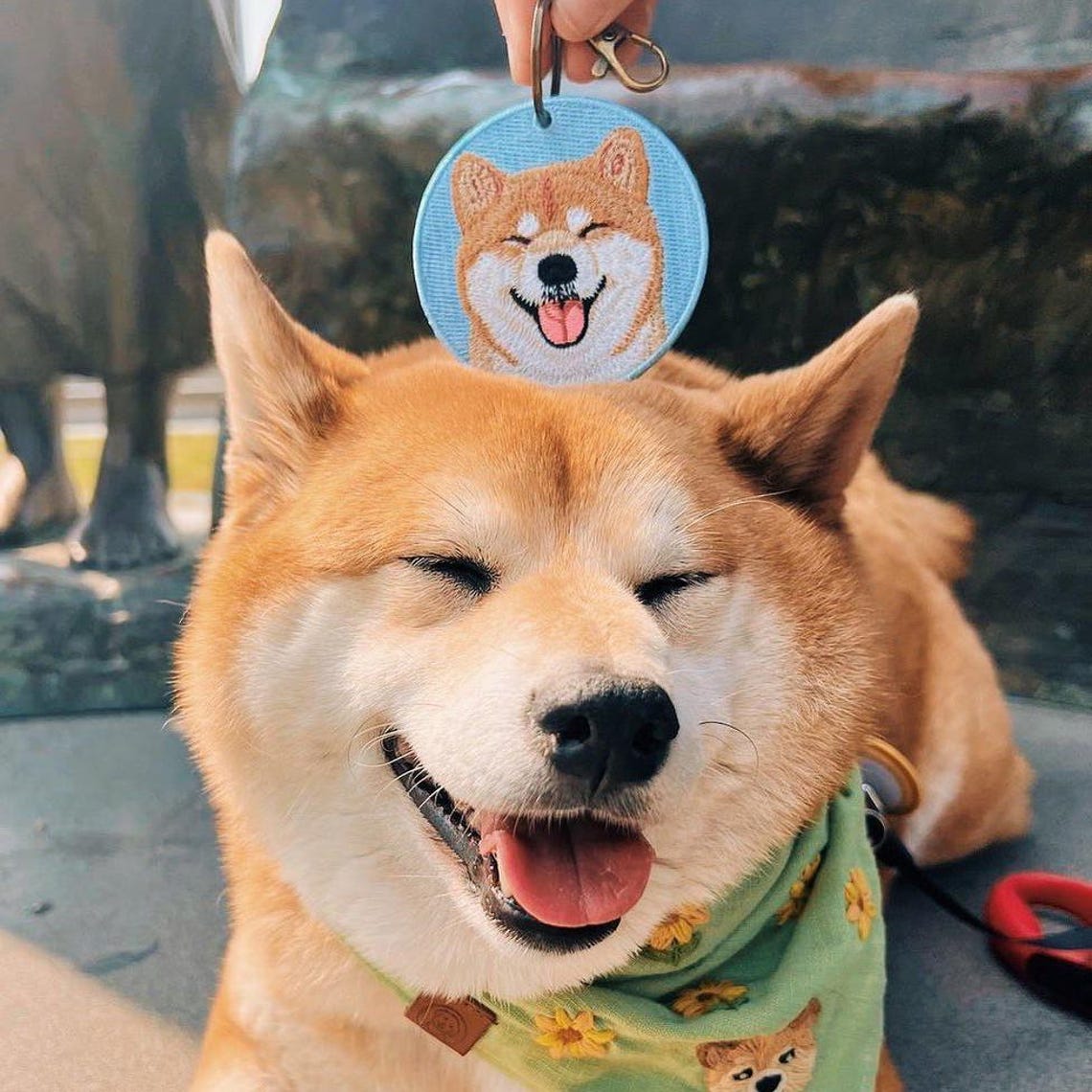Letrero conmemorativo personalizado para collar de mascota con oreja y nombre, regalo para amantes de las mascotas