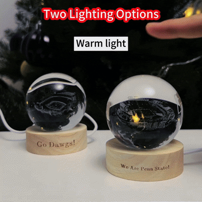 Personalisiertes 3D-Haustierkissen vom Foto. Individuelles Kissen in Hunde-/Katzenform. Einzigartiges Haustiergeschenk für Tierliebhaber.