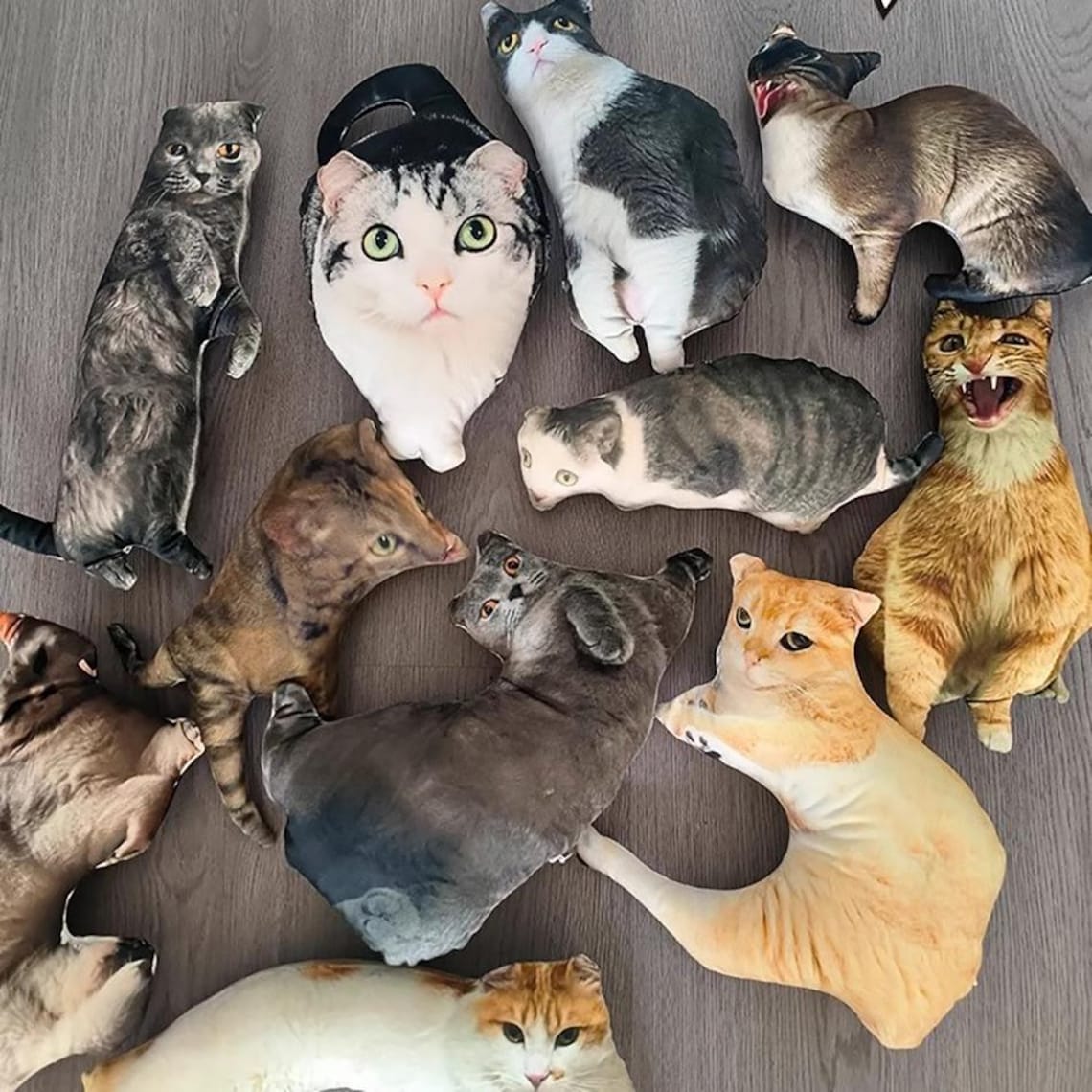 Custom Ugly Pet Pillow – Funny Realistic Cat & Dog Pillow Gift For Pet Lovers