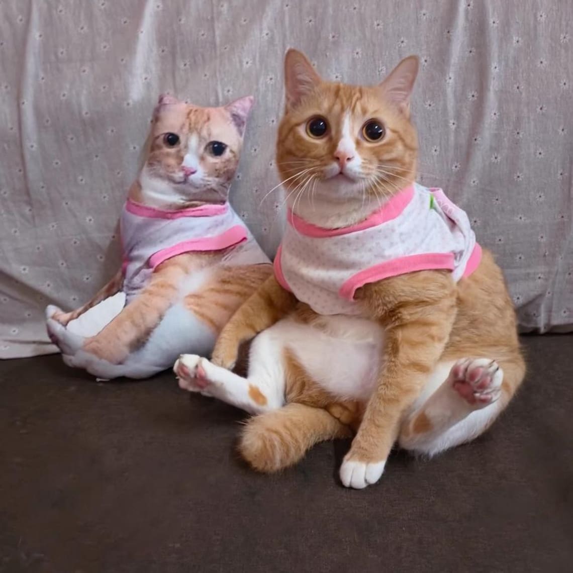 Custom Ugly Pet Pillow – Funny Realistic Cat & Dog Pillow Gift For Pet Lovers