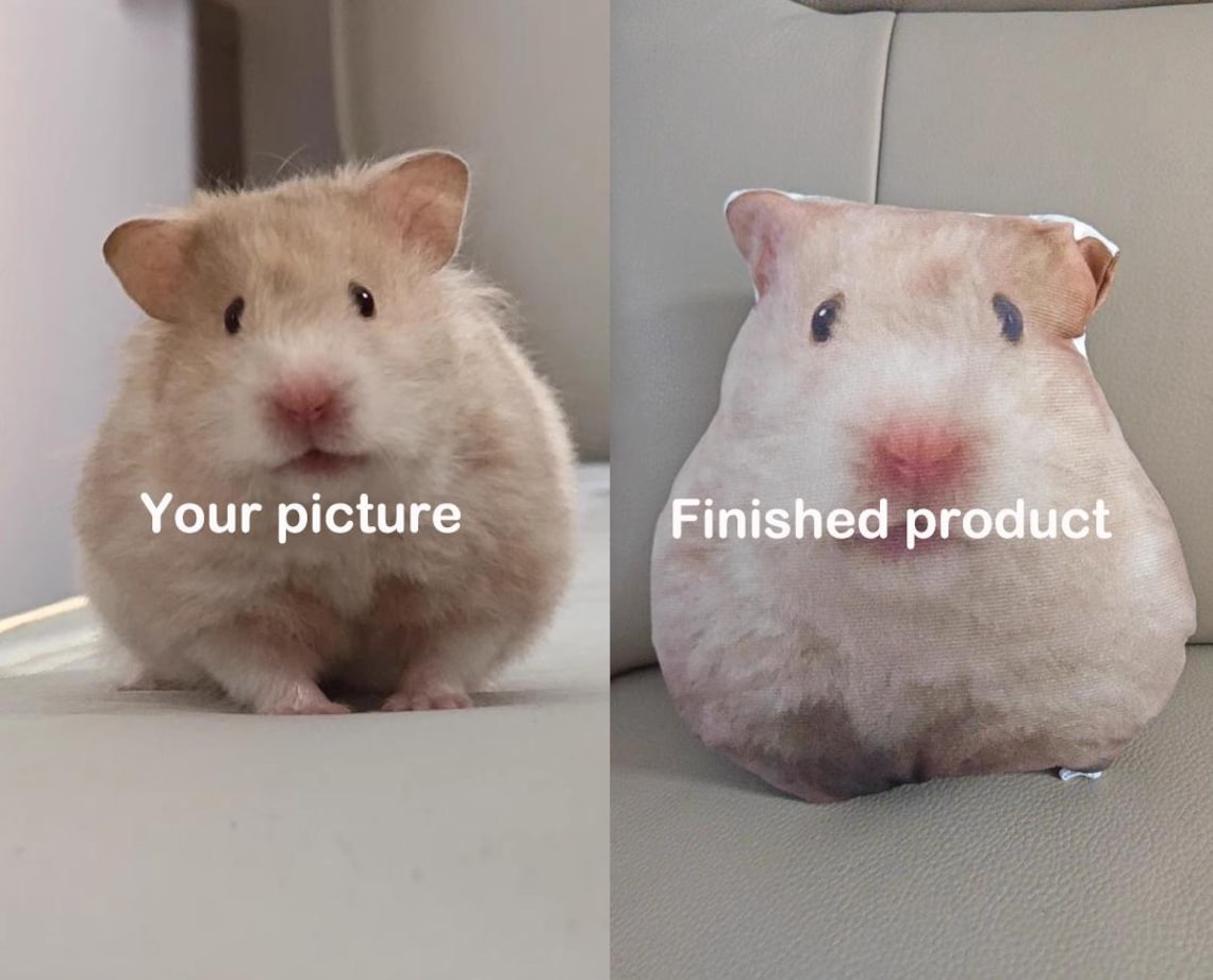 Custom Ugly Pet Pillow – Funny Realistic Cat & Dog Pillow Gift For Pet Lovers