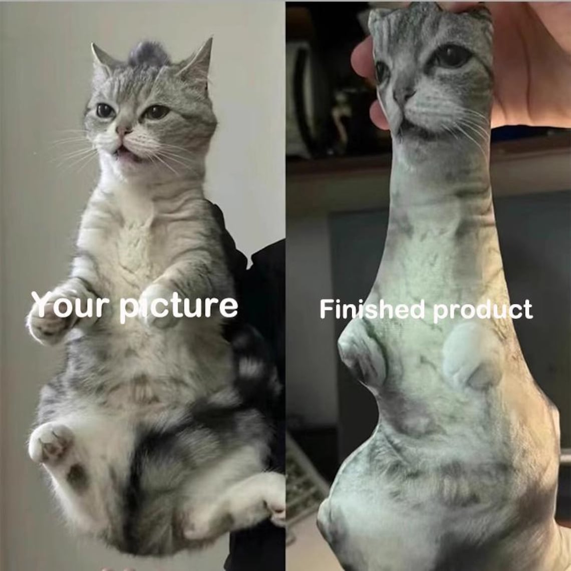 Custom Ugly Pet Pillow – Funny Realistic Cat & Dog Pillow Gift For Pet Lovers