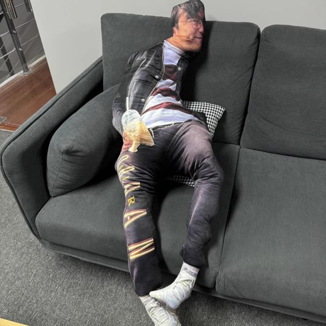 Custom Ugly Pet Pillow – Funny Realistic Cat & Dog Pillow Gift For Pet Lovers