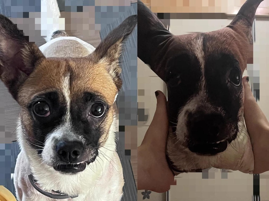 Custom Ugly Pet Pillow – Funny Realistic Cat & Dog Pillow Gift For Pet Lovers