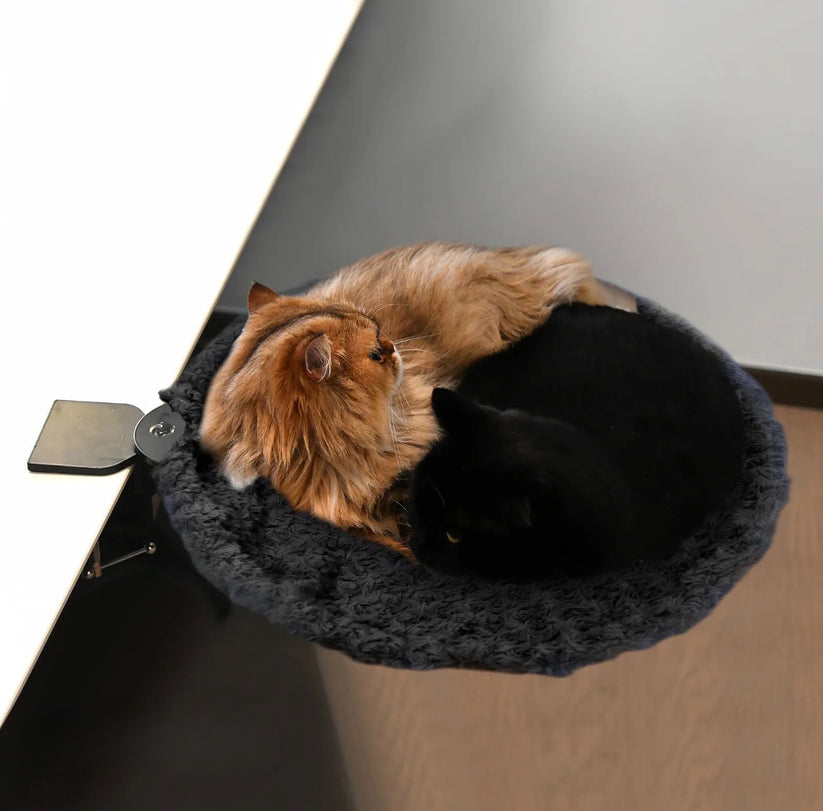 Cozy Rest Spot