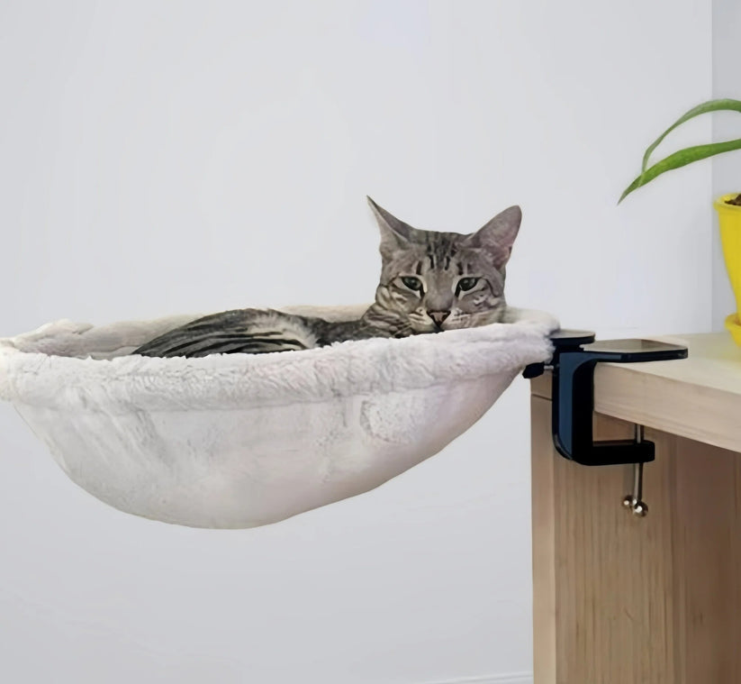 Cozy Rest Spot