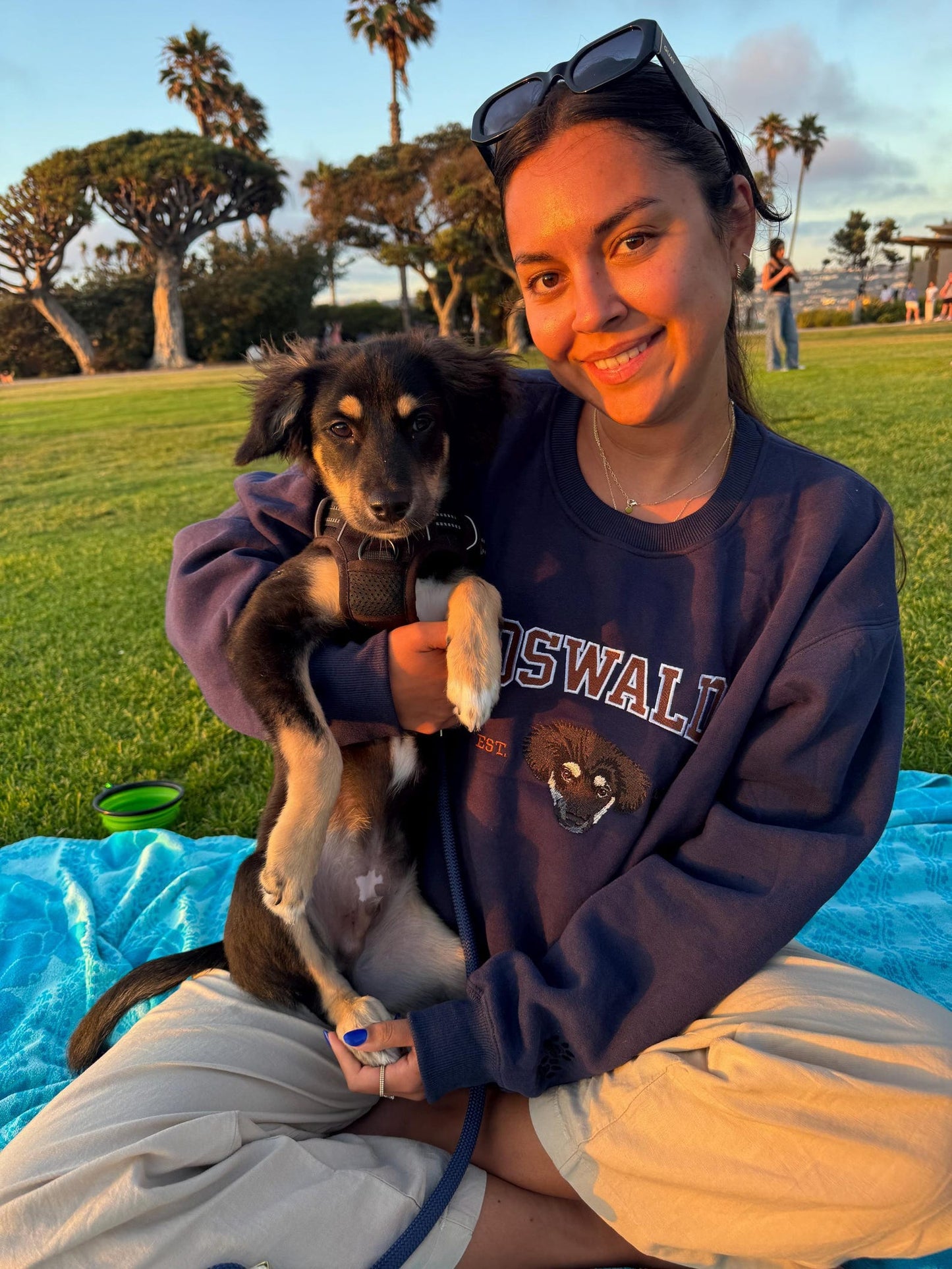 Personalisiertes besticktes Haustier-Hundegesicht und -Namens-Sweatshirt, Andenken, Geschenk für Tierliebhaber