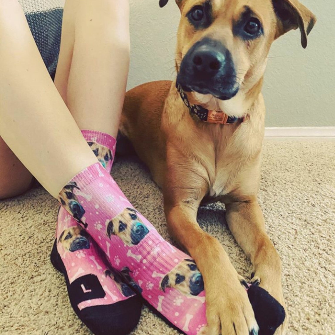 Custom Pet Dog Portrait Face Socks Gift for Pet Lovers