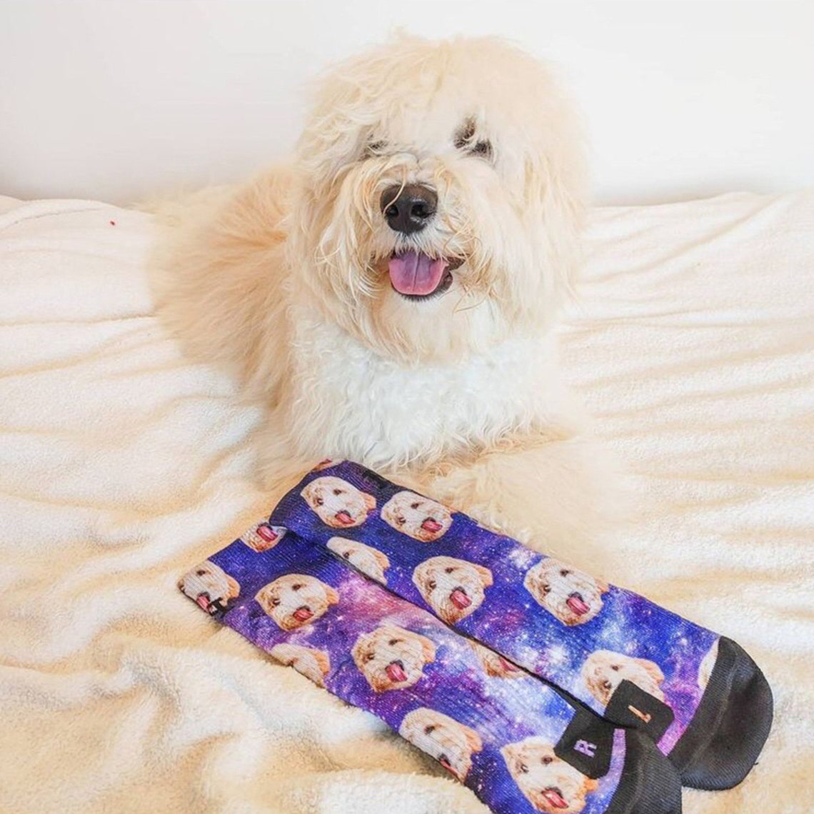 Custom Pet Dog Portrait Face Socks Gift for Pet Lovers
