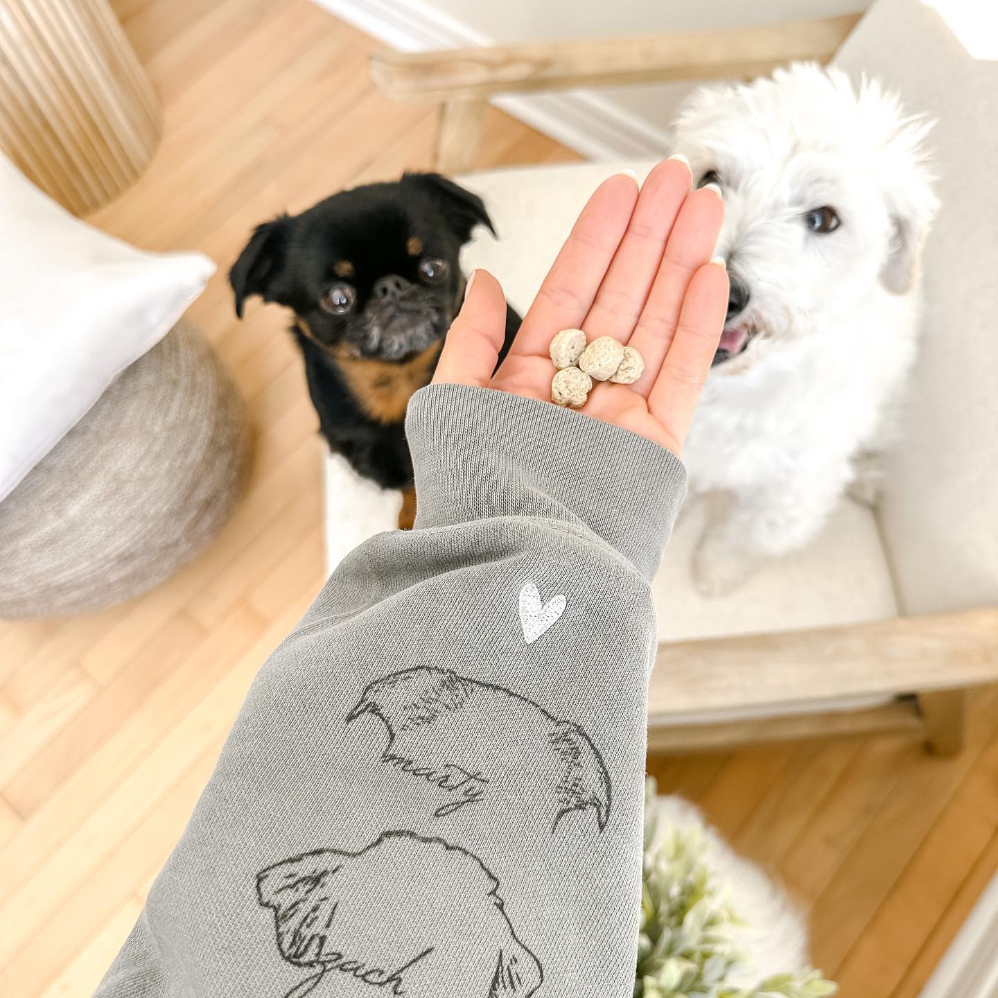 Personalized I Wear My Heart on My Sleeve Embroidered Pet Ears Sweatshirt Hoodie Gifts for Dog Lover
