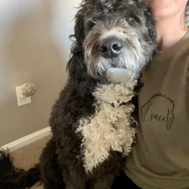 Embroidered Dog Mom Sweatshirt Hoodie with Custom Dog Ear and Name Gift For Dog Lovers