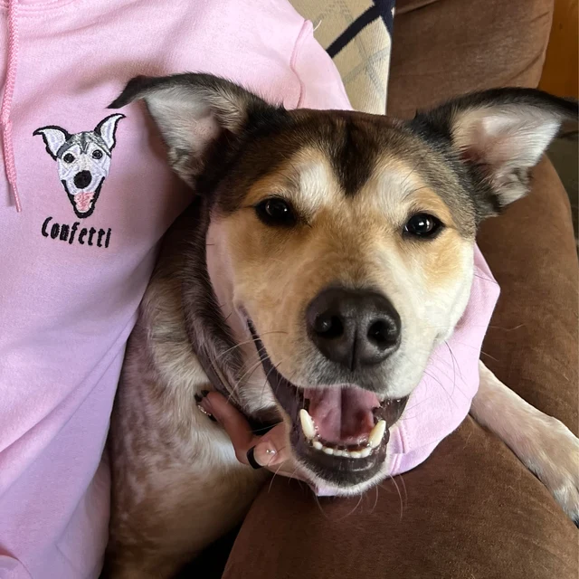 Personalized Pet Photo Portrait Sweatshirt Embroidered Cat Face and Name Hoodie Gift for Cat Parents Pet Lovers