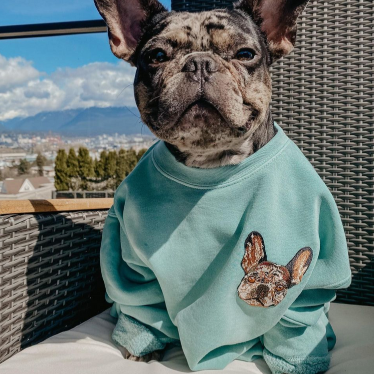 Embroidered Pet Portrait Hoodie with Pet Face Gift for Pet Lovers
