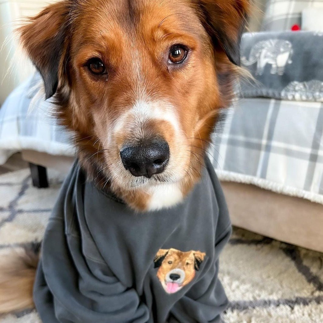 Embroidered Pet Portrait Hoodie with Pet Face Gift for Pet Lovers